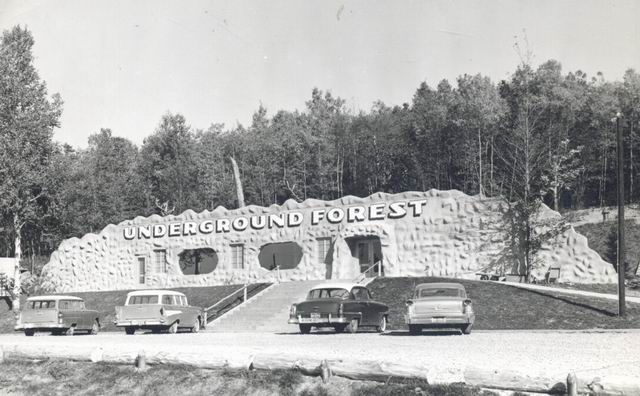 Underground Forest - Old Post Card (newer photo)